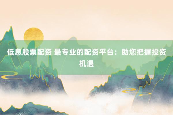 低息股票配资 最专业的配资平台：助您把握投资机遇