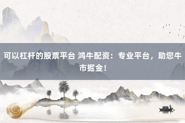 可以杠杆的股票平台 鸿牛配资：专业平台，助您牛市掘金！