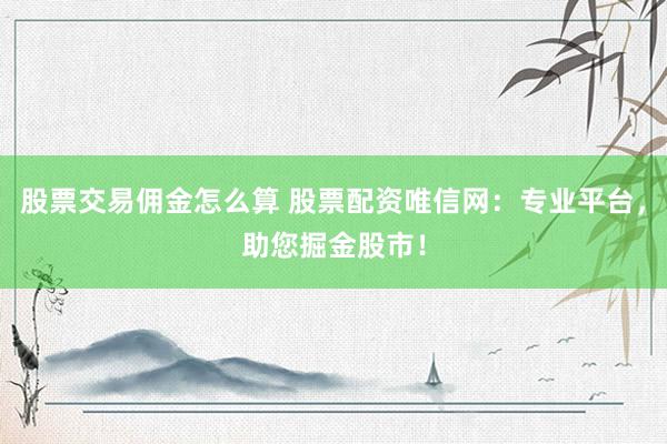 股票交易佣金怎么算 股票配资唯信网：专业平台，助您掘金股市！