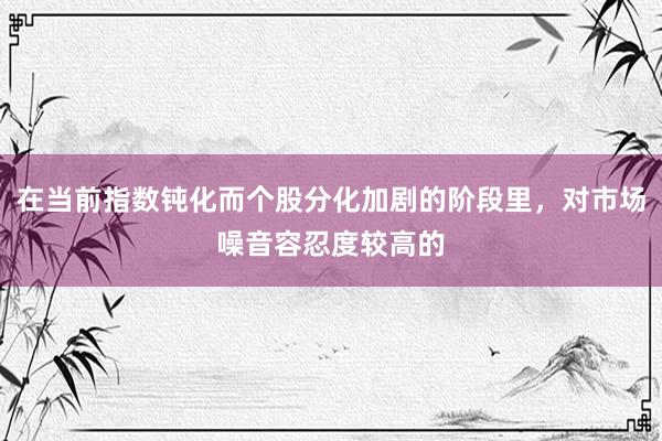 在当前指数钝化而个股分化加剧的阶段里，对市场噪音容忍度较高的