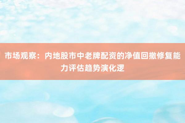 市场观察：内地股市中老牌配资的净值回撤修复能力评估趋势演化逻
