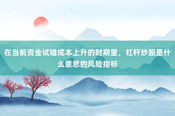 在当前资金试错成本上升的时期里，杠杆炒股是什么意思的风险指标