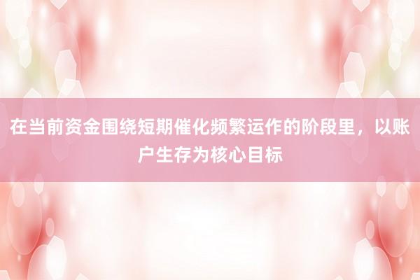 在当前资金围绕短期催化频繁运作的阶段里，以账户生存为核心目标
