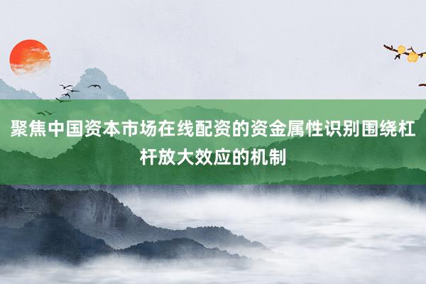 聚焦中国资本市场在线配资的资金属性识别围绕杠杆放大效应的机制