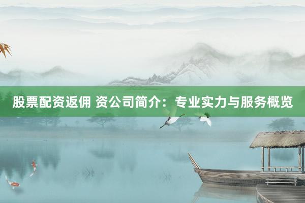 股票配资返佣 资公司简介：专业实力与服务概览